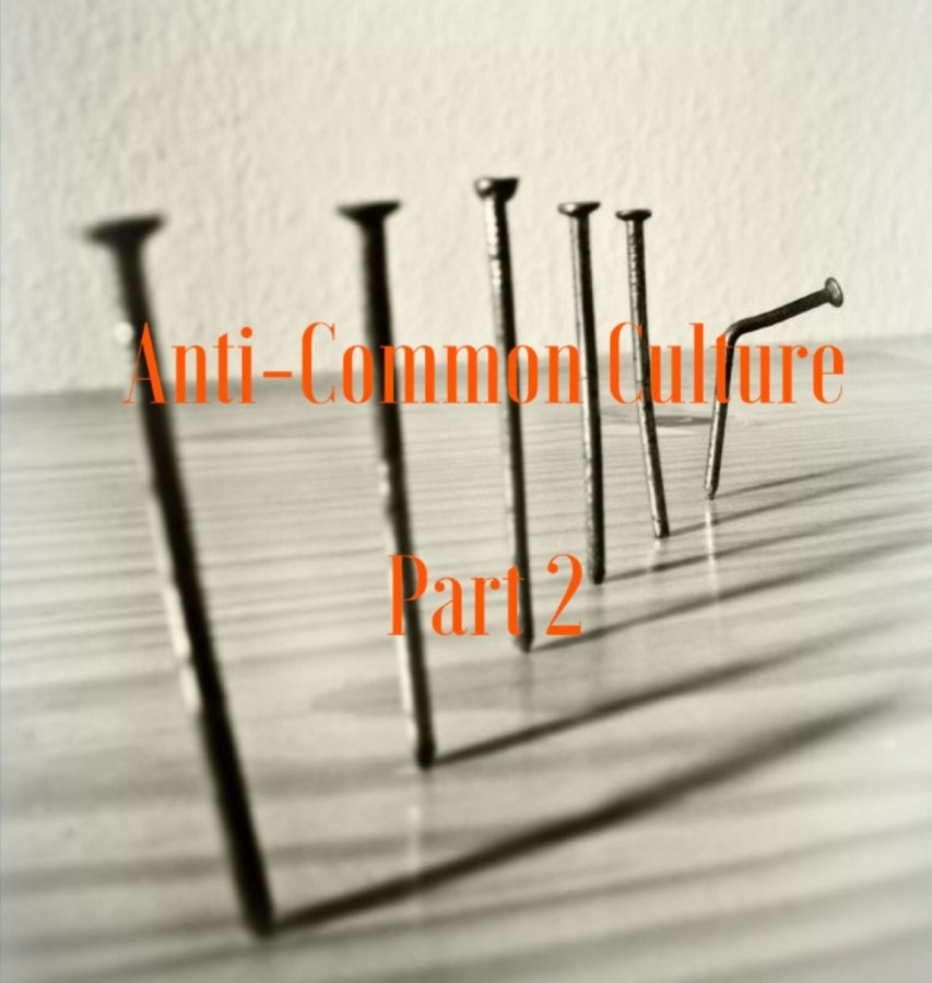 Anti-Common Culture Part&nbsp;2